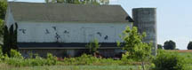 Wild geese on a barn mural outside Mayville